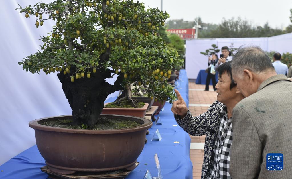 星娱网络官网